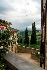 Paesaggio Toscano con cipressi e colline 