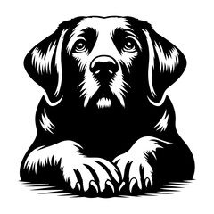 Black and white illustration of a Labrador Retriever dog lying down with its head up portrait