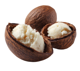  Shea nut filled with shea butter white background