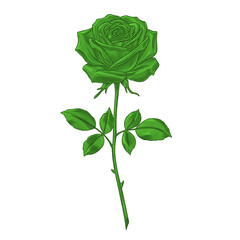 Obraz premium PNG-Single rose illustration , delicate thin lines, transparent background