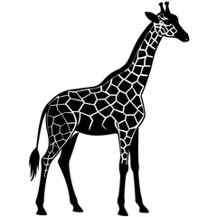Naklejka premium giraffe silhouette black on whit bg