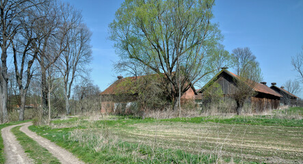 Fototapeta premium the Village of Storks Zywkowo in Masuria,Poland