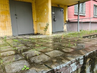 A weathered building entrance with gray doors and a tiled walkway covered in weeds.