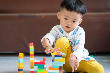 Fototapeta premium Child Playing with Colorful Building Blocks Indoors