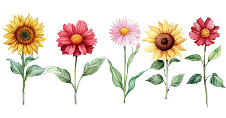 Naklejka premium Bright and Beautiful Watercolor Flower Collection