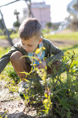Curious child exploring nature in park, discovering wonders of plant life