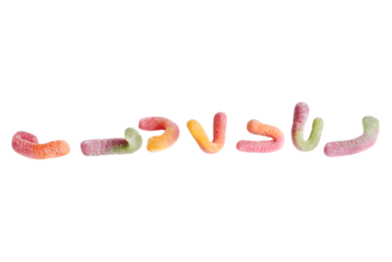 Set of jelly worms in sugar - real candy photo on transparent background.