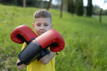 Young boy wearing boxing gloves in a green meadow: ready to fight