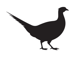 Fototapeta premium very simple flat and minimalist Pheasant. Vector black silhouette. with white background