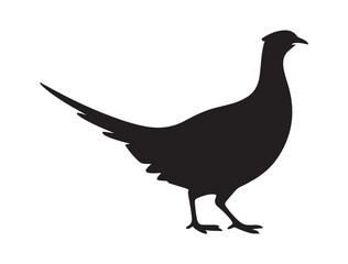 very simple flat and minimalist Pheasant. Vector black silhouette. with white background