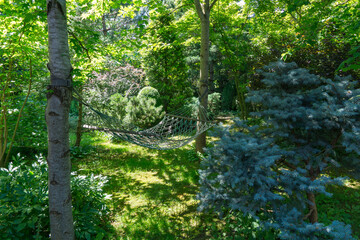 Cozy hammock nestles between two trees in lush garden, surrounded by vibrant greenery, blue...