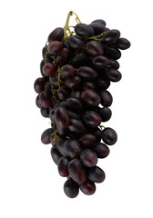 Fresh long black grape bunches cut out isolated transparent background