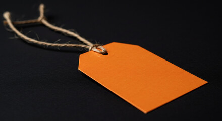 Tag de Papel&atilde;o Laranja