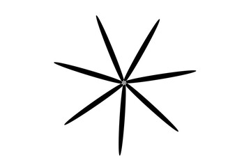 Black six-point starburst shape isolated on white background for decoration, symbols, and graphic design projects