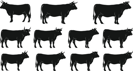 Cow silhouette icon set, farm animal vector, livestock graphic collection, cattle side profile, black design, standing cow poses