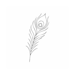 Obraz premium Feather vector illustration