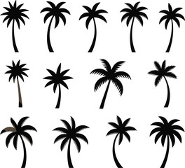 Black palm tree silhouette collection, tropical leaves, exotic nature icons, summer vacation symbols, beach design elements, vector set illustration