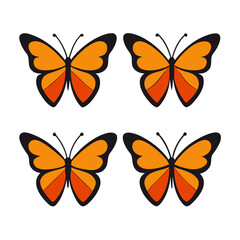 Obraz premium set of Monarch Butterfly