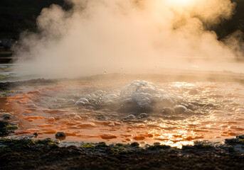 Fototapeta premium A close-up view of a bubbling geothermal pool with steam rising into the sunlight.