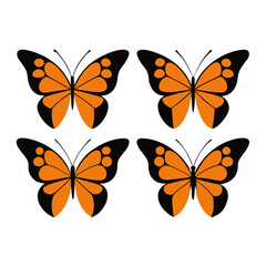 Obraz premium set of Monarch Butterfly