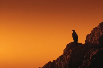 Naklejka premium Soaring Silhouette: An eagle perched on a rugged cliff edge, a symbol of strength and freedom, against a majestic sunset canvas of warm orange and golden hues.