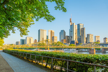 Frankfurt City Downtown, Bridge, Trees Branches and Main River in Morning. Golden Hour. Hesse,...