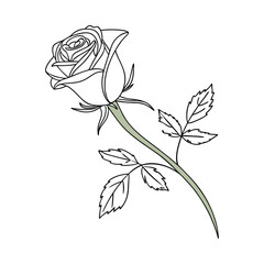 Elegant Line Art Illustration of a Single Rose with Stem and Leaves Artistic Floral Design