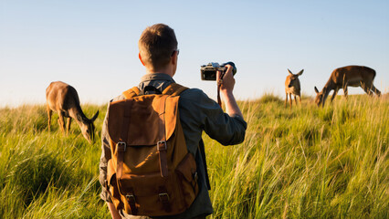 Serene Wildlife Photography Man Capturing Deer in Meadow, A peaceful scene depicting a man photographing a small herd of deer grazing in a lush green meadow. The photographer, viewed from behind.