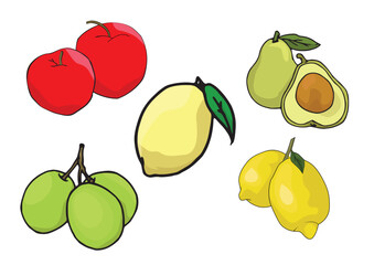 Colorful Fruit Illustration