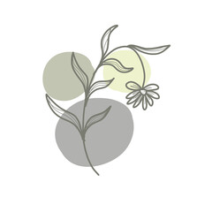 Leaf flower organic abstract ilustration 