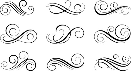 Fototapeta premium Elegant black swirls and flourishes on white background decorative ornate vector