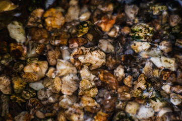 Close up of rain washed gravels