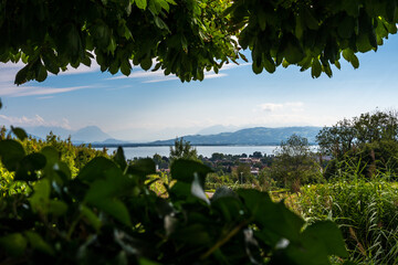 Bodensee Panorama mit Ausflugsschiff