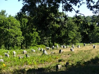Carnac, August 2025: Visit  the world's largest megalithic complex - View of the alignments of...