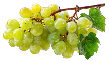 A bunch of fresh green grapes with leaves and stem, isolated on transparent background