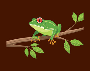 Green Frog Watching a Small Bug on a Plant