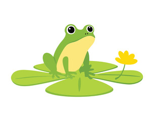 A Green Frog Resting on a Lily Pad in a Pond