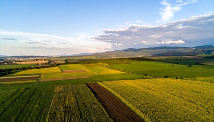 Obraz premium Expansive farmland under a vibrant sky