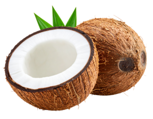 Angled View of Open Coconut with Tropical Leaf Accent, Natural Texture, Isolated 