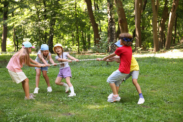 Cute little kids playing tug of war in park