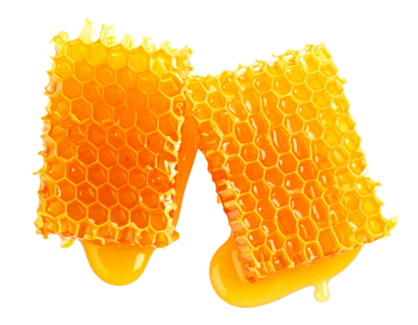 Honeycomb with Flowing Honey in Rustic Style, Top-Down View, Isolated