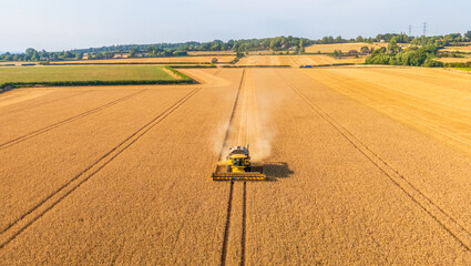 Front aerial view of a combine harvester cutting wheat in a field, agricultural or farming concept
