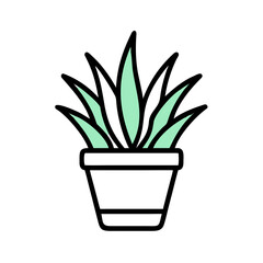 Minimalist sage grass illustration isolated on black background for modern design projects