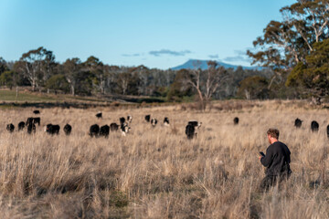 regenerative organic farmer, taking soil samples and looking at plant growth in a farm in a field. practicing sustainable agriculture good looking farmer. monitoring plant health
