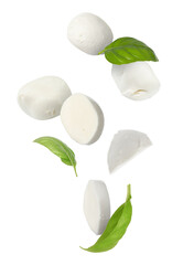 Mozzarella cheese and basil leaves falling against white background