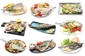 Fried fish. Dishes isolated on white, set