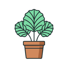 Illustration of potted plant with large leaves, isolated on black background