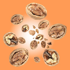 Walnuts in shell swirling in air against coral color background