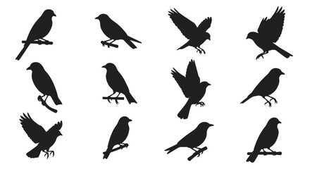 Elegant black bird silhouettes showcasing nature's beauty, perfect for modern designs and decor