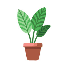 Potted plant illustration, featuring leaves with patterned stripes, isolated on black background